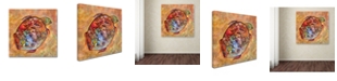 Trademark Global Oxana Ziaka 'Turtle' Canvas Art - 18" x 18" x 2"